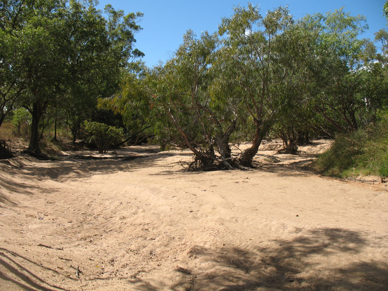 Lakefield National Park - Walkabout